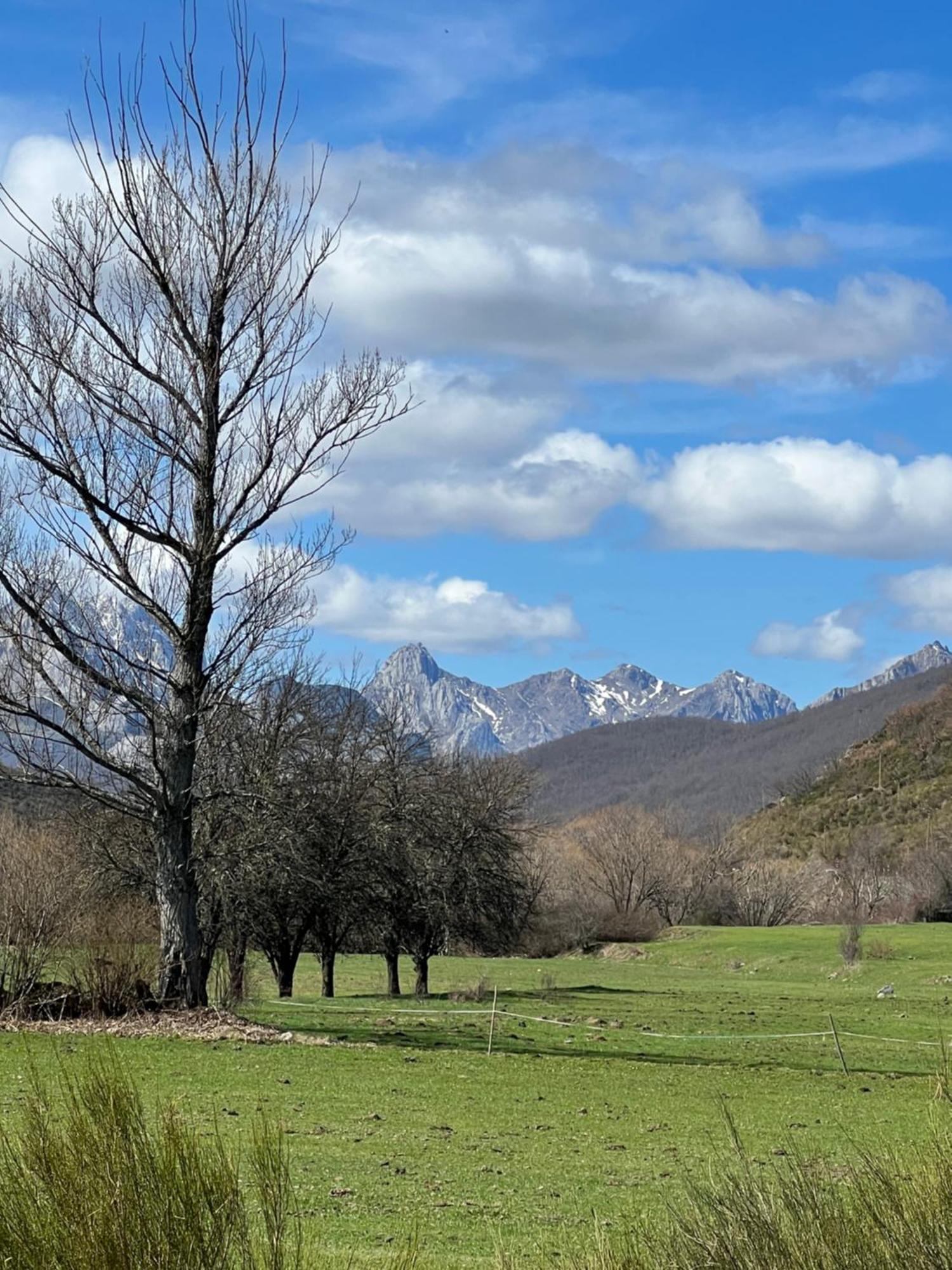 Отель Tierra De La Reina Бока-де-Уэргано Экстерьер фото